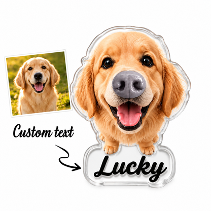Custom Dog Nose Squishy Fridge Magnet From Photo
