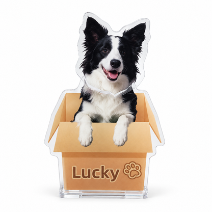 Custom Pet Photo Bobblehead – Personalized Acrylic Dashboard Ornament