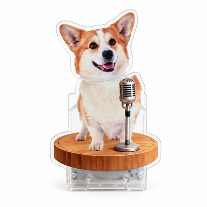 Custom Pet Photo Bobblehead – Personalized Acrylic Dashboard Ornament