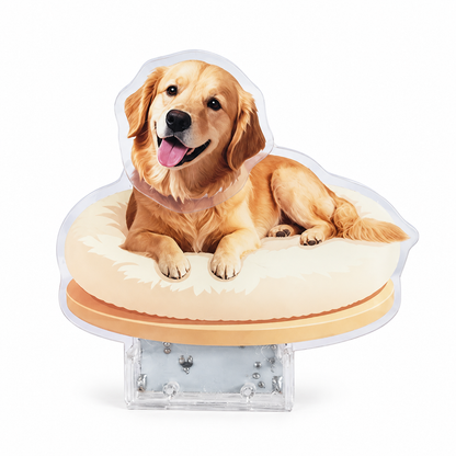 Custom Pet Photo Bobblehead – Personalized Acrylic Dashboard Ornament
